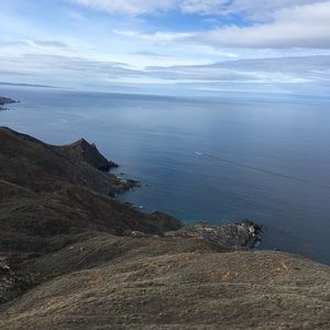 Meet your Posher, William